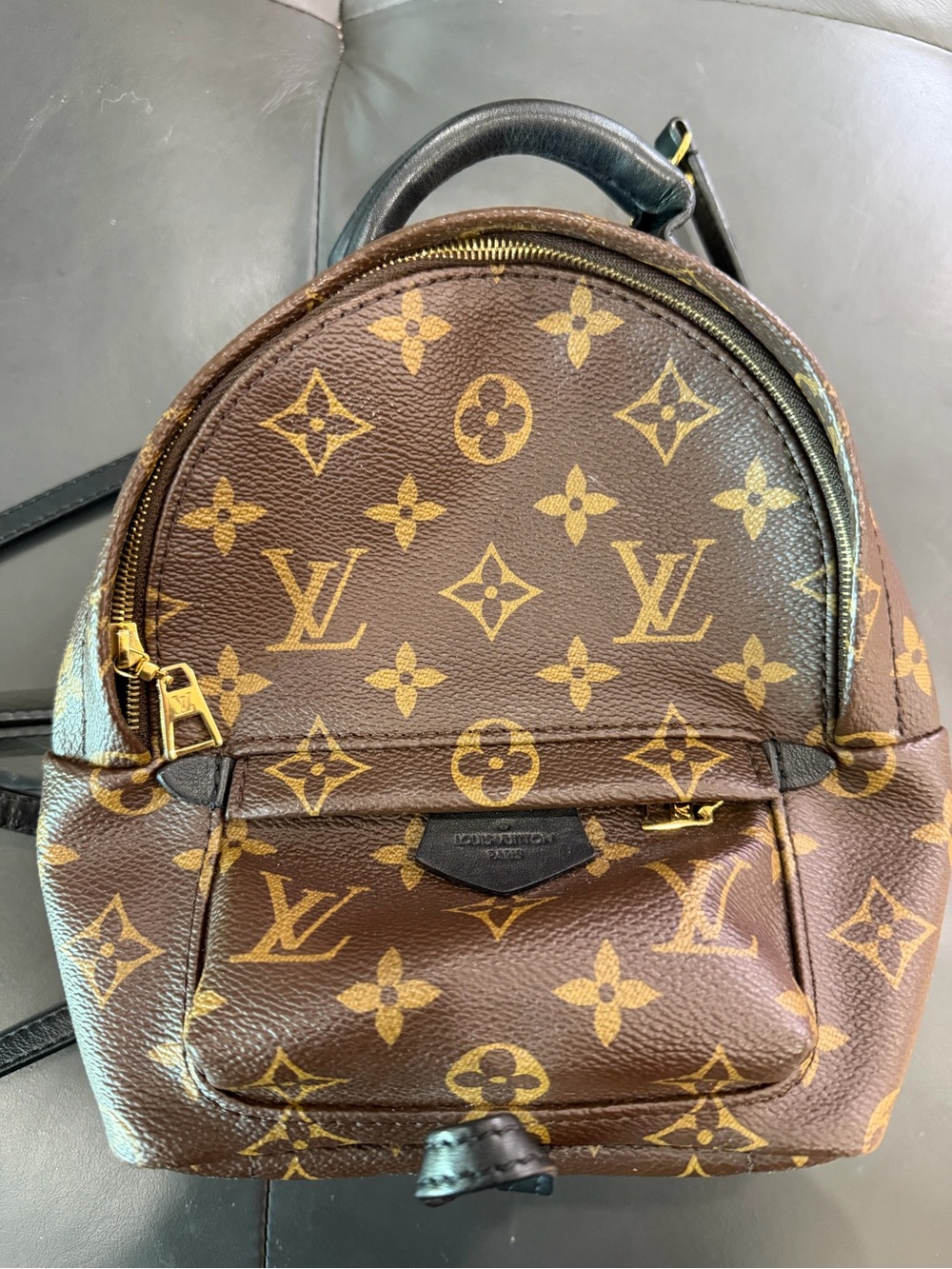 Louis Vuitton Brown Monogram Palm Spring Mini